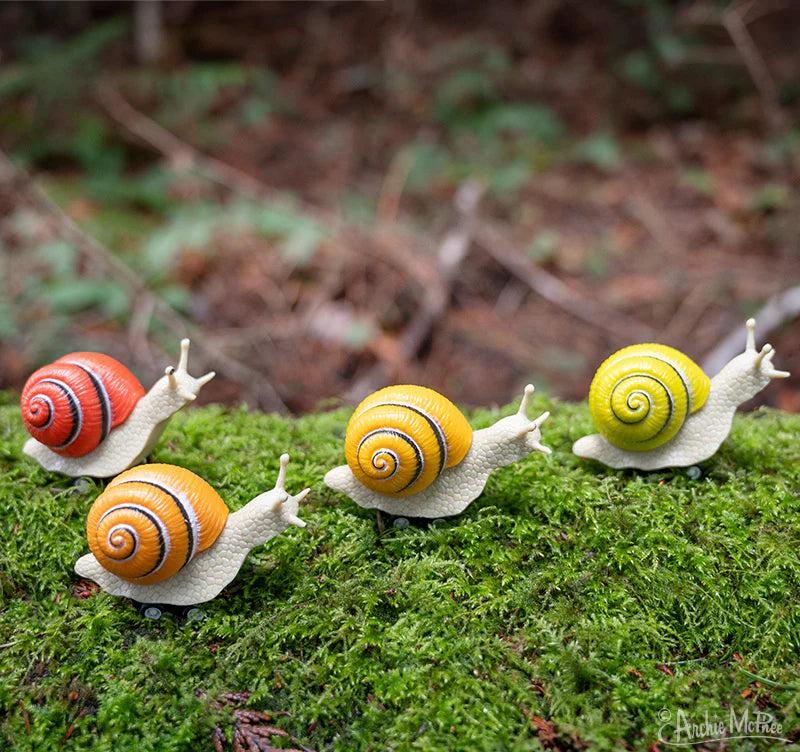 Racing Snail