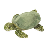 Turtle Tillie