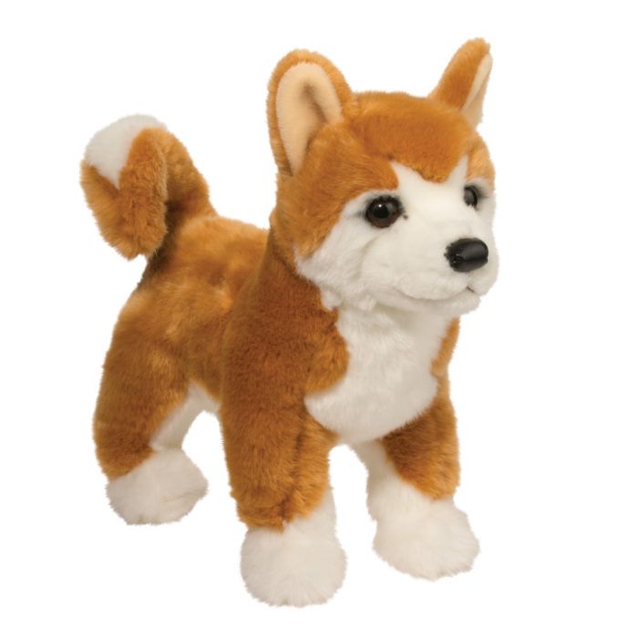 Shiba Inu Dunham