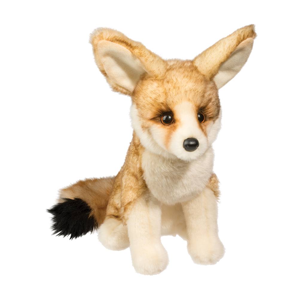 Fennec Fox Sly