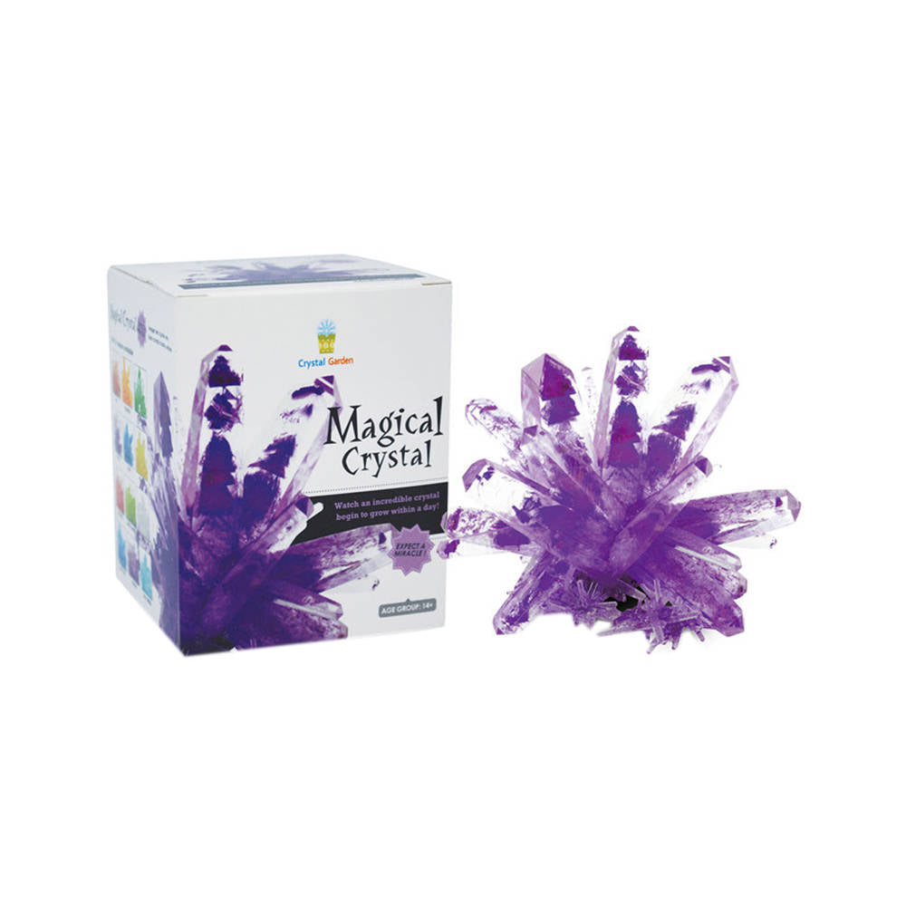 Magic Crystal Purple