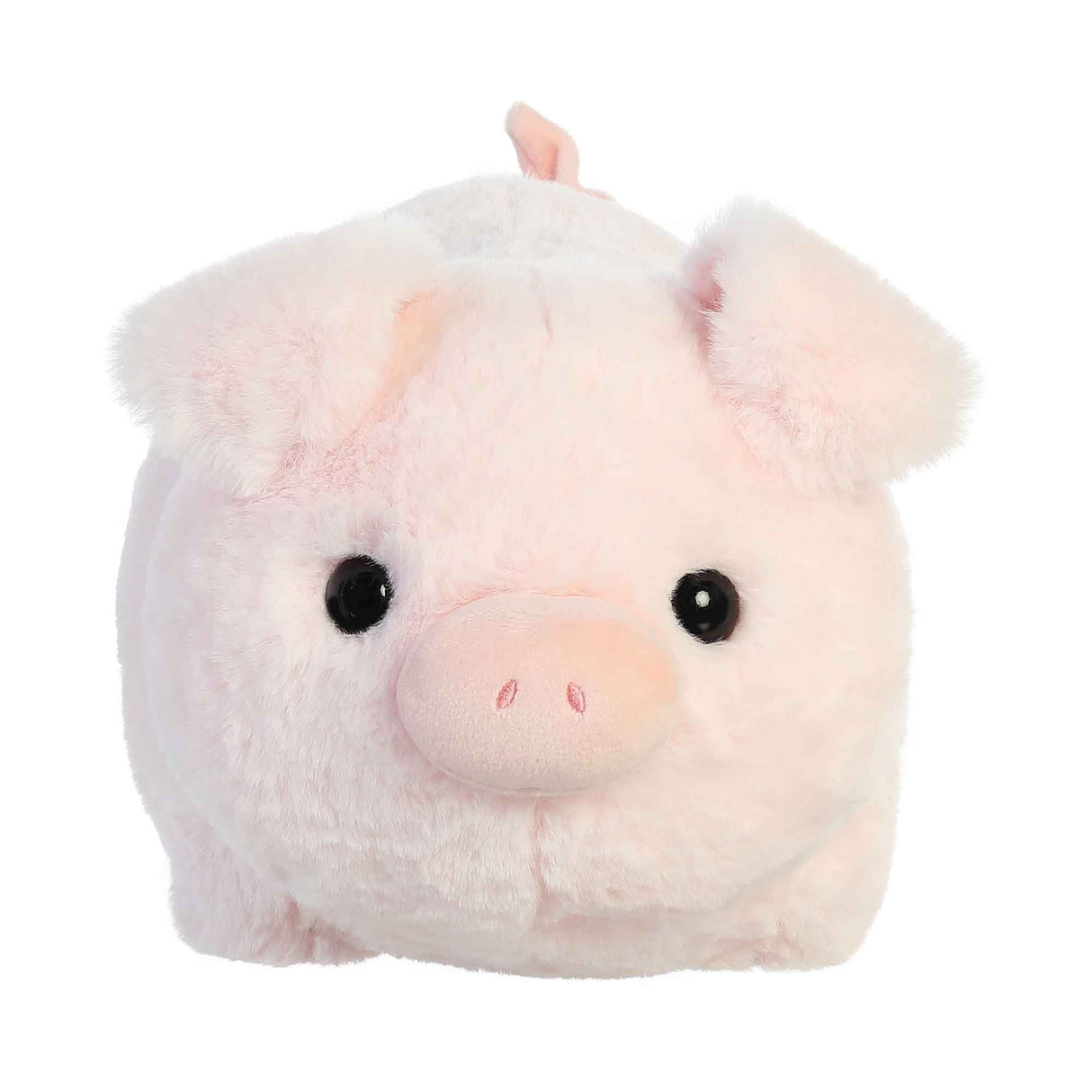 Spudster Pig Cutie