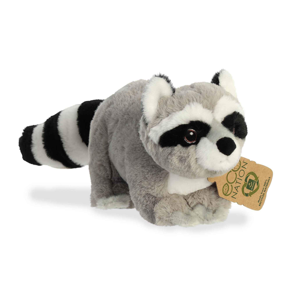 Raccoon Eco