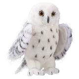 Snowy Owl Legend