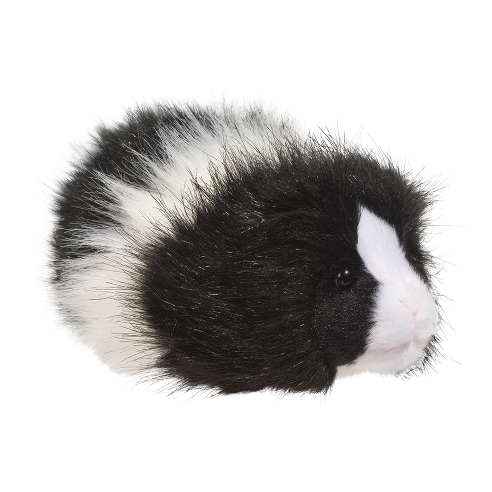 Guinea Pig