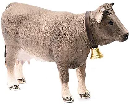 Braunvieh Cow