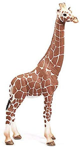 Giraffe Female