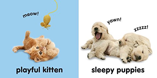 Touch & Feel Puppies and Kittens