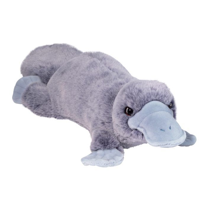 Platypus Allie