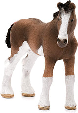 Clydesdale Foal