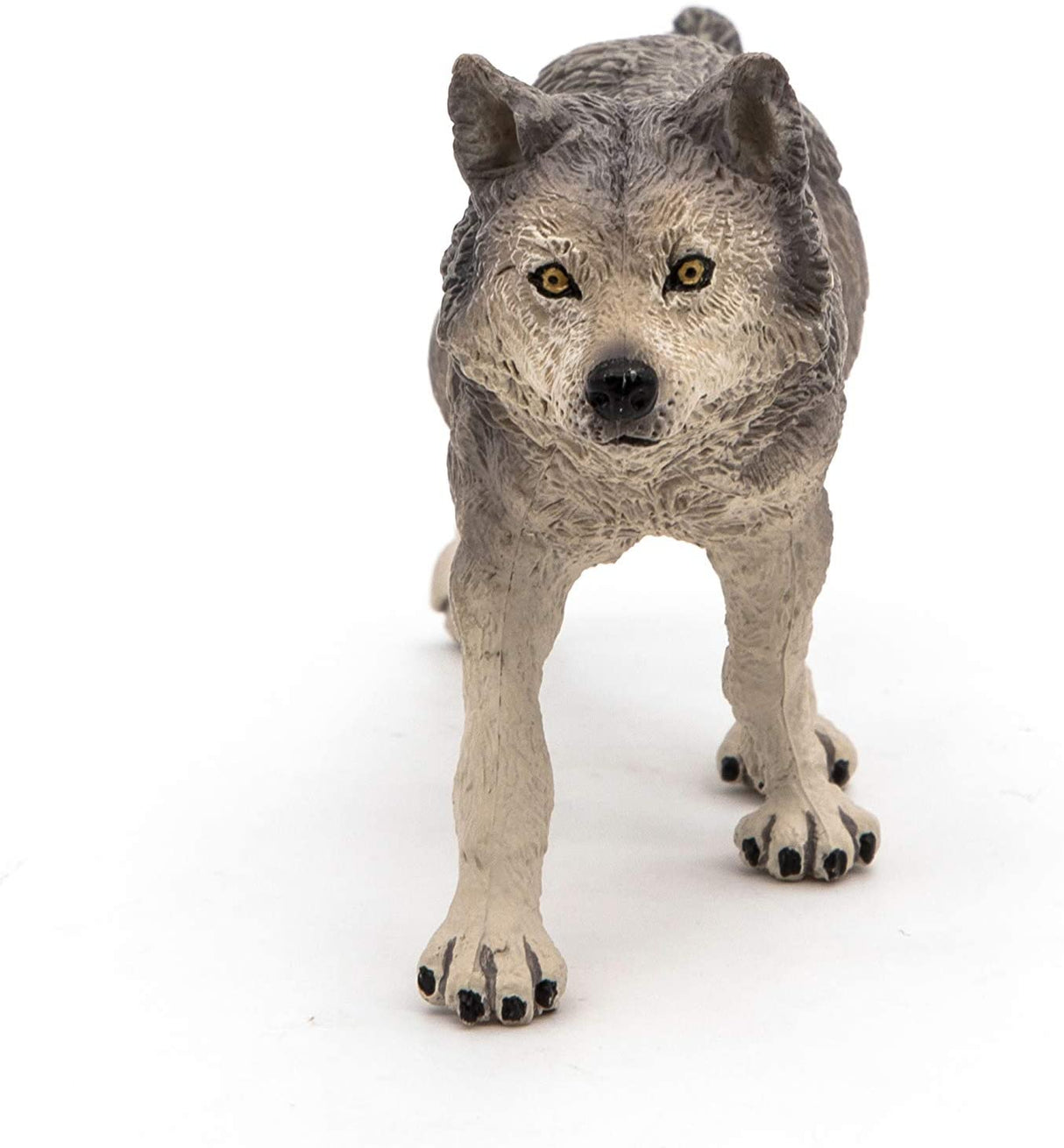 Grey Wolf