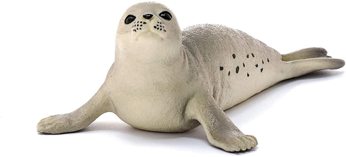 Seal