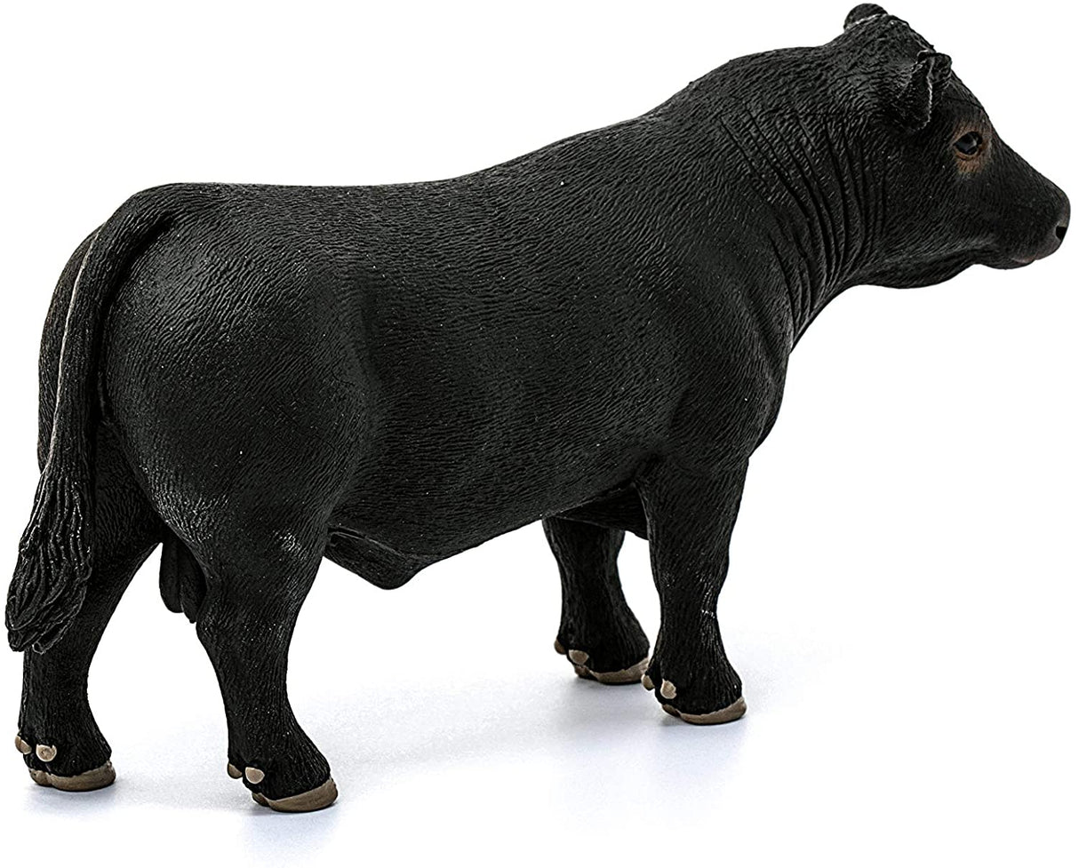 Black Angus Bull