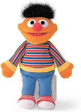 Sesame St Character