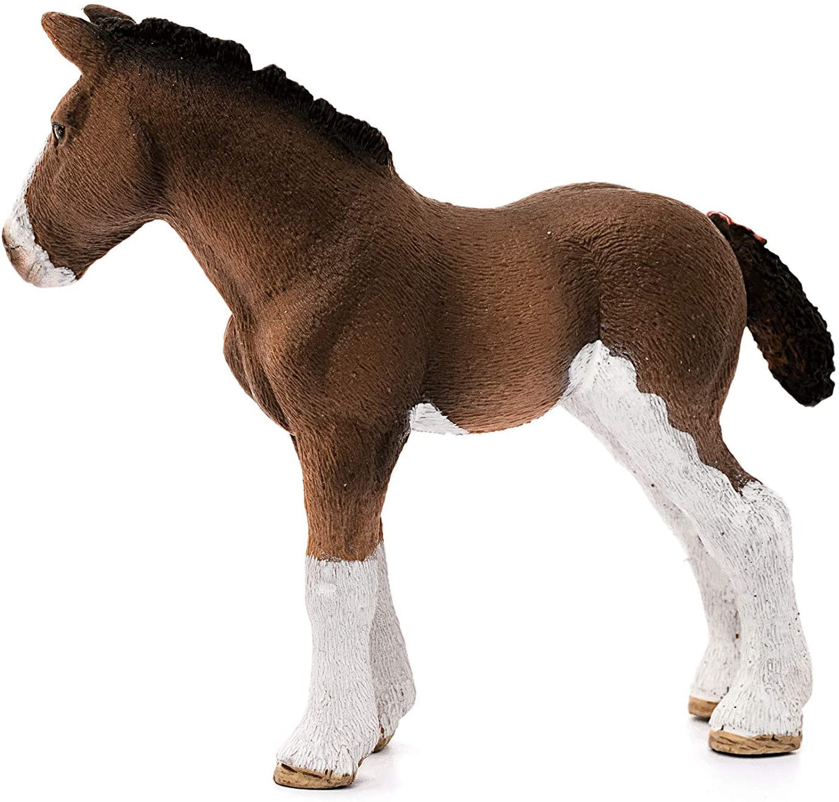 Clydesdale Foal