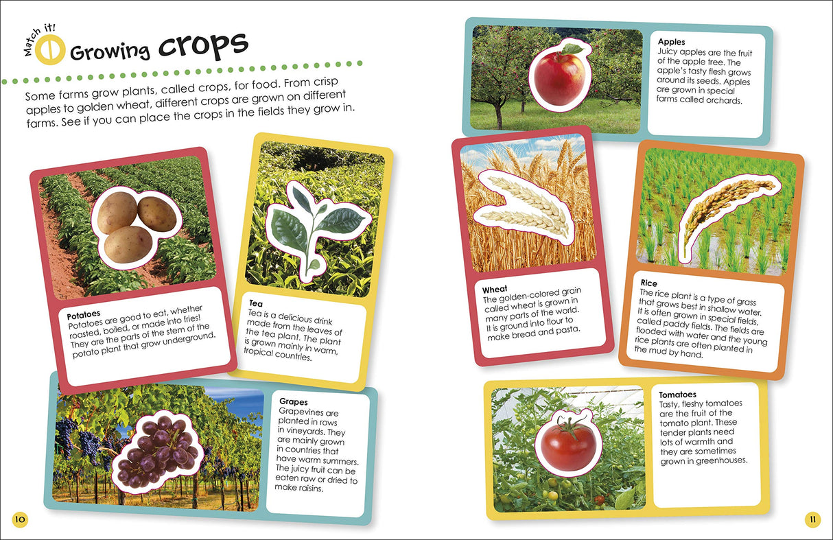 Ultimate Sticker Book | Farm