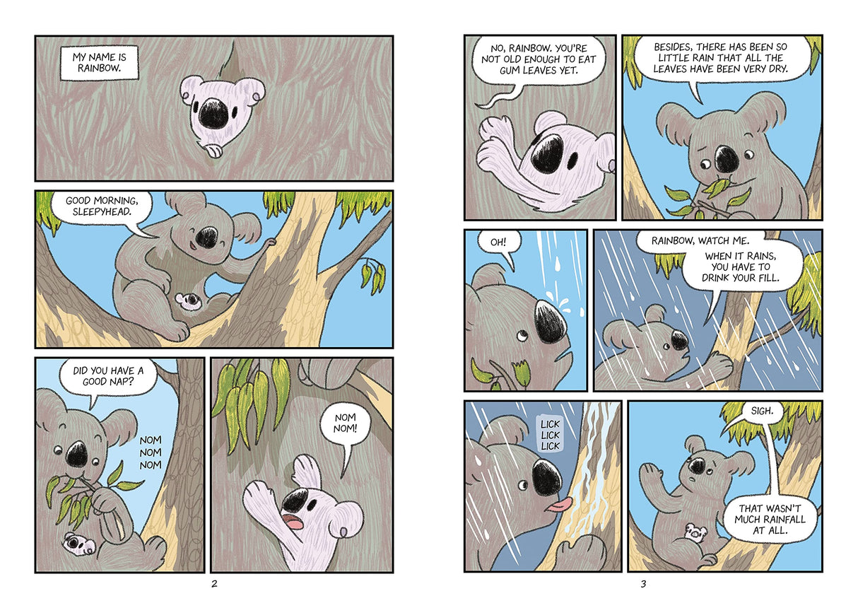 Surviving the Wild: Rainbow the Koala