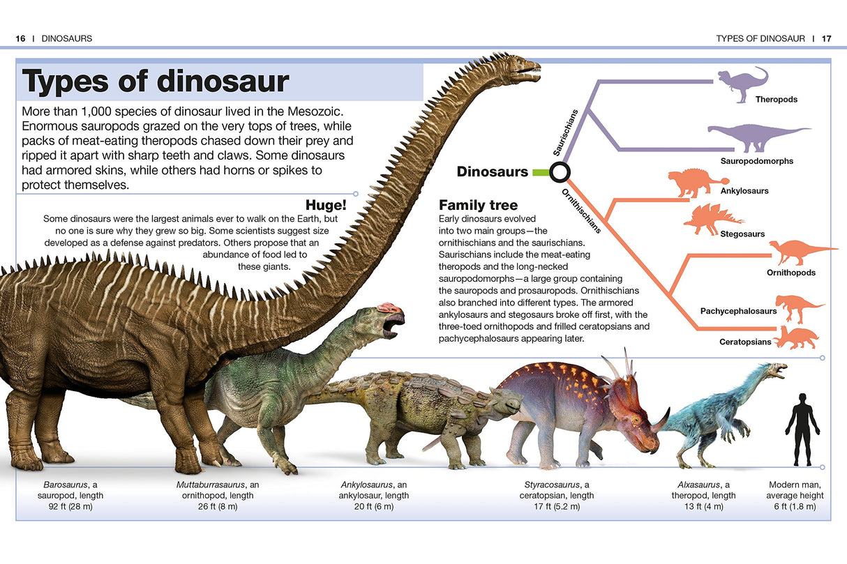 Pocket Genius Dinosaurs