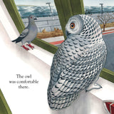 A Snowy Owl Story