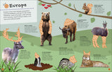 Ultimate Sticker Book | Animals