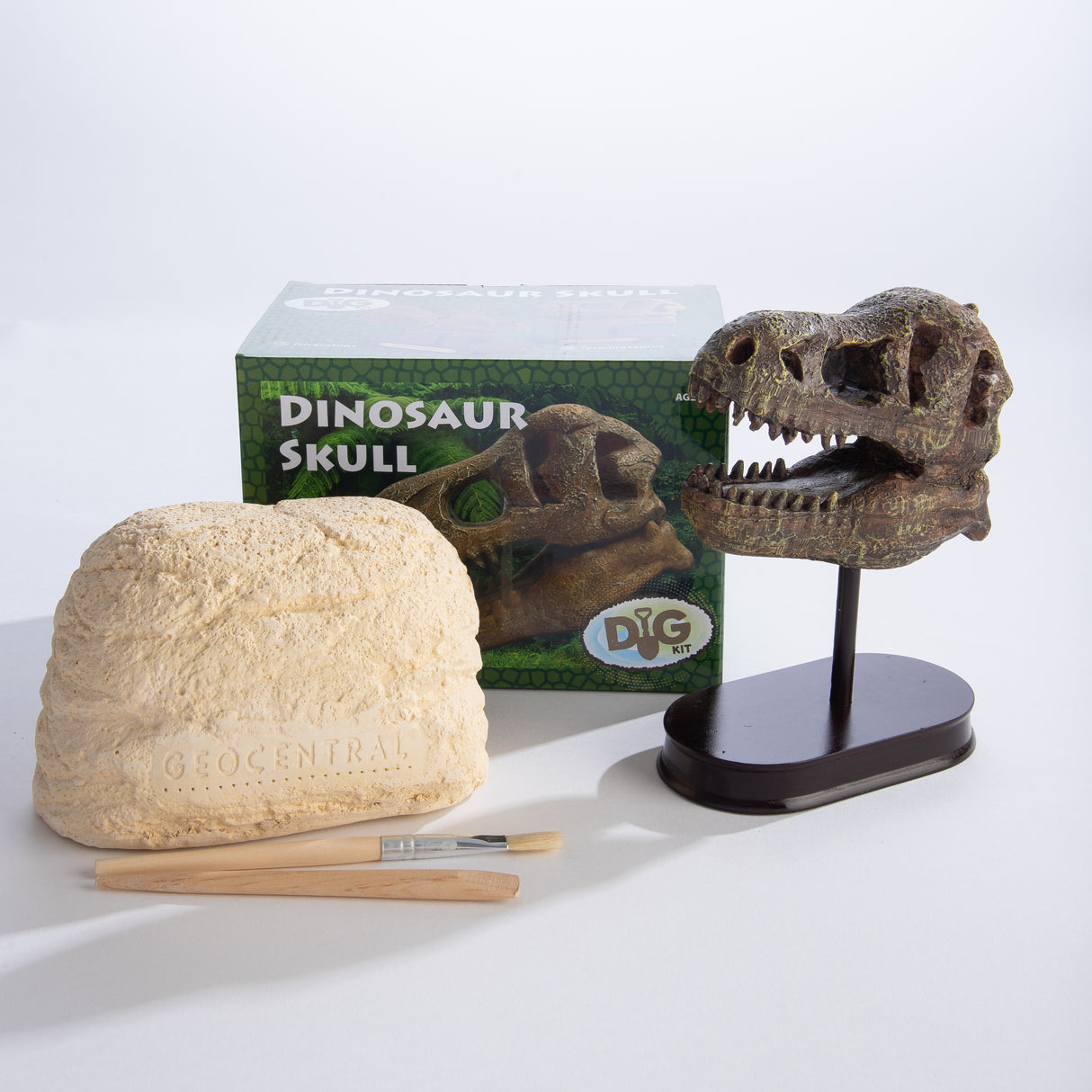 Dig a Dinosaur Skull