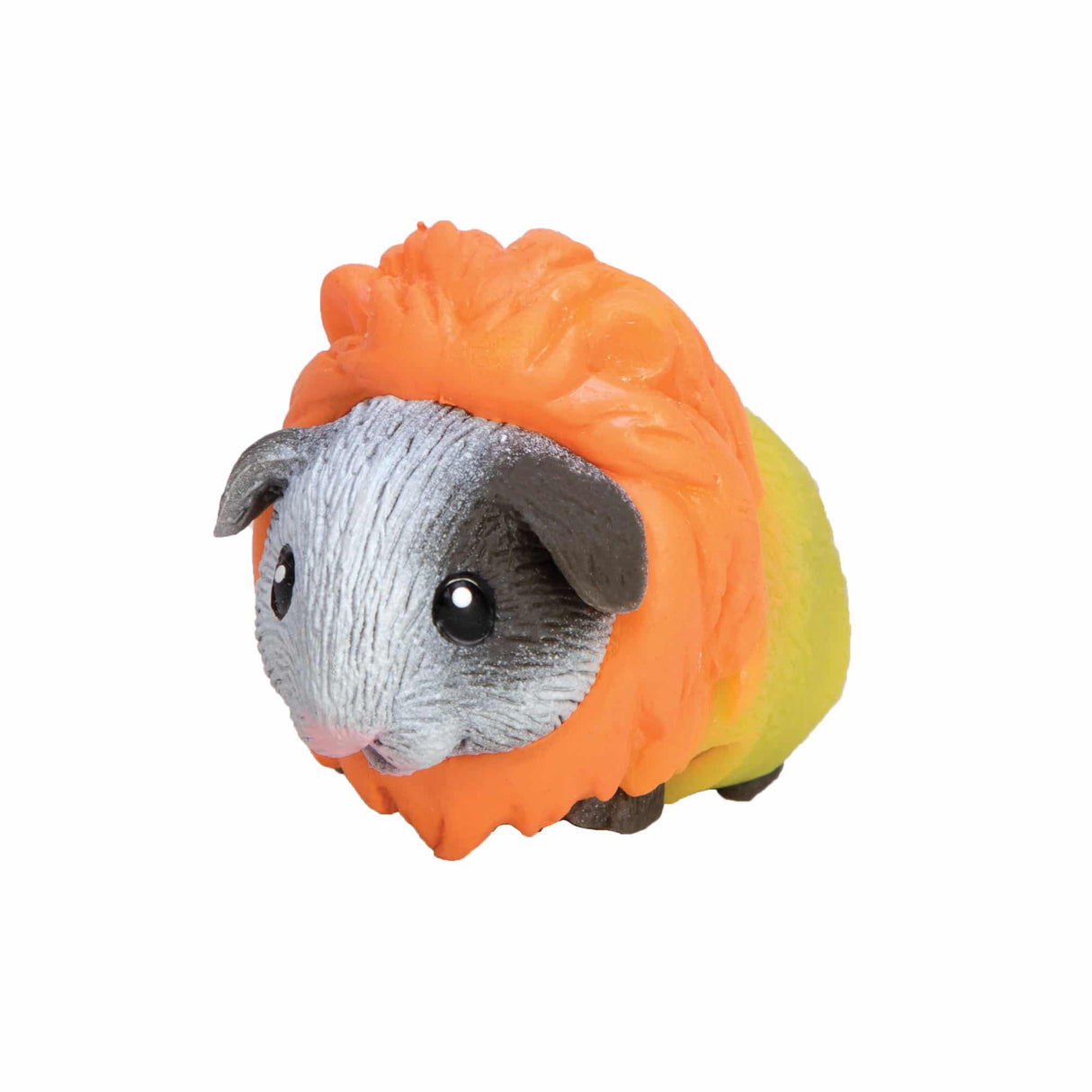 Guinea Pig Party Animal