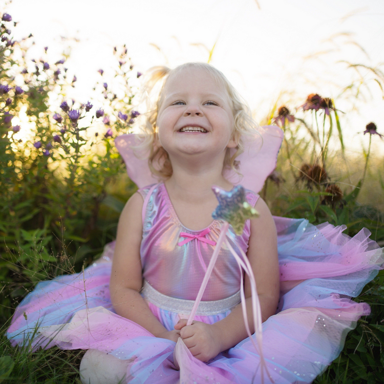 Rainbow Sequin Skirt, Wings & Wand