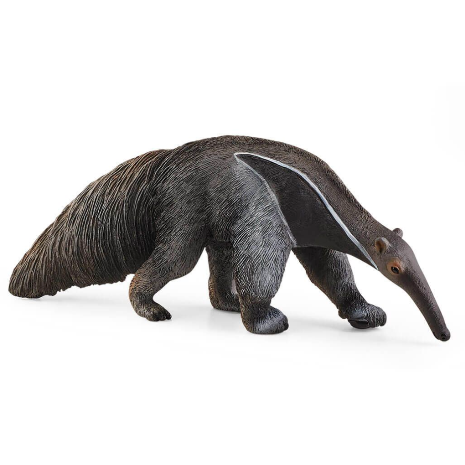 Anteater