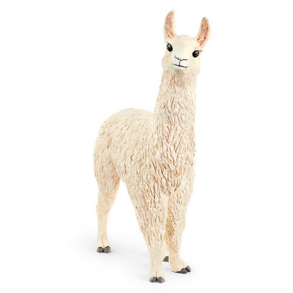 Llama