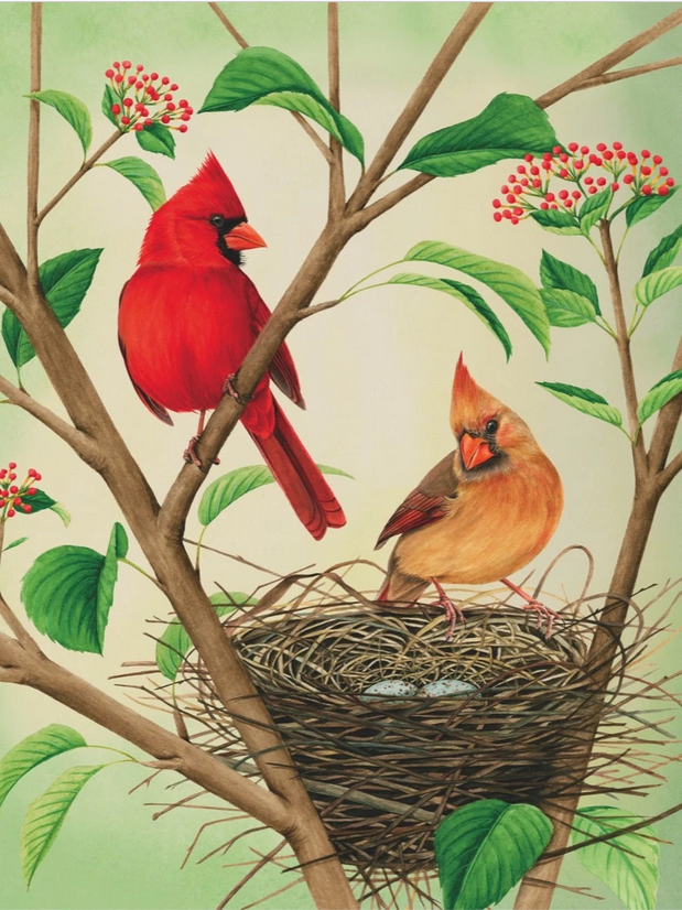 500pc Northern Cardinals Puzzle