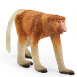 Proboscis Monkey