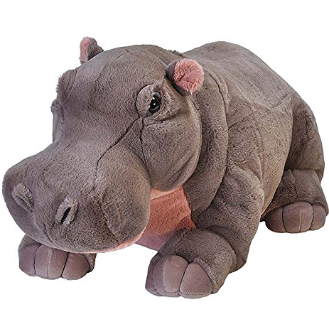 Hippo Jumbo