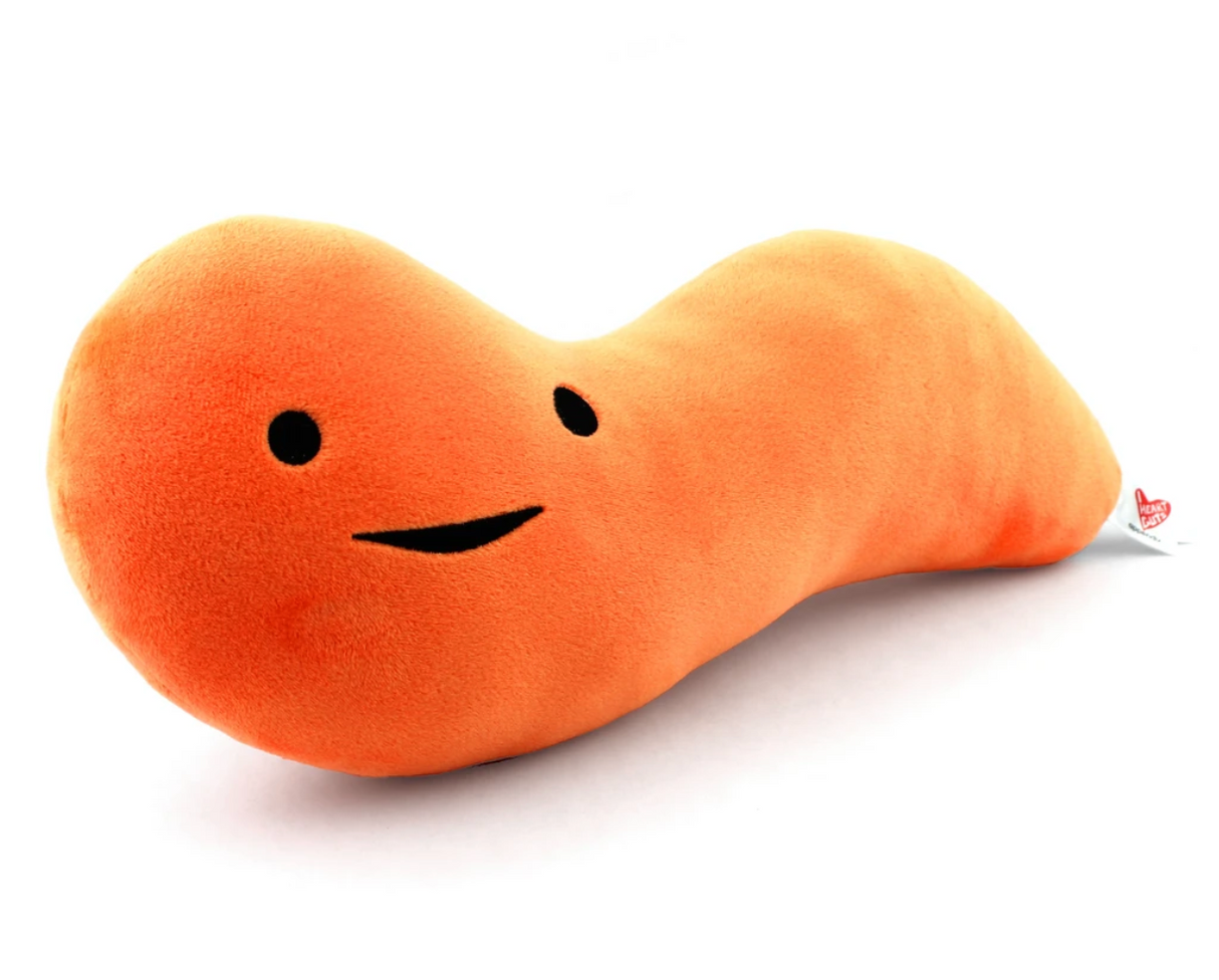 Appendix