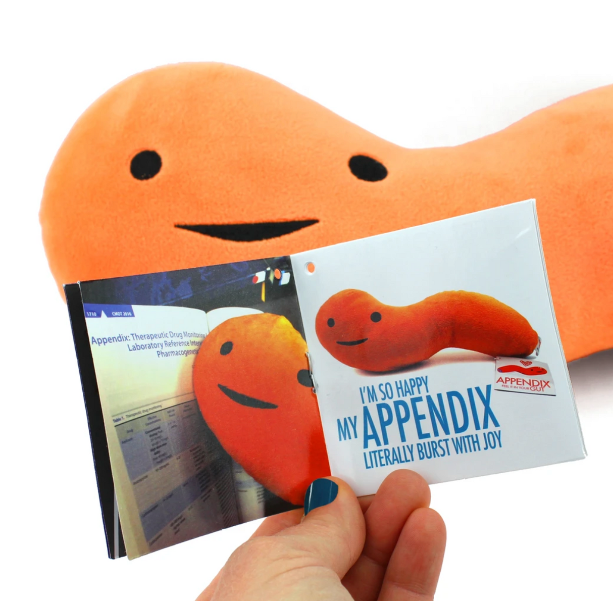 Appendix