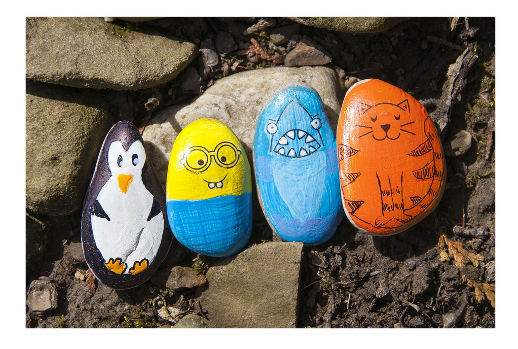 Hide & Seek Rock Painting Kit