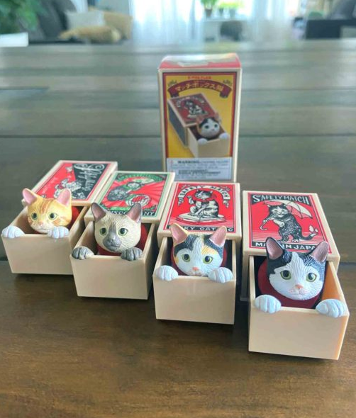 Cat Peek Matchbox Blind Box