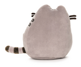 Pusheen Squisheen