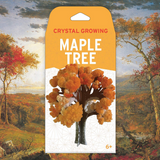 Crystal Grow Maple Tree