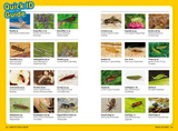 Kids Field Guide: Insects