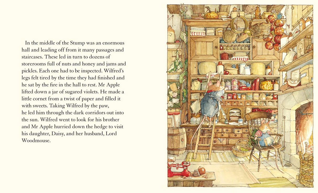 Brambly Hedge Spring Story