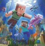 49pc Minecraft Biomes Puzzles