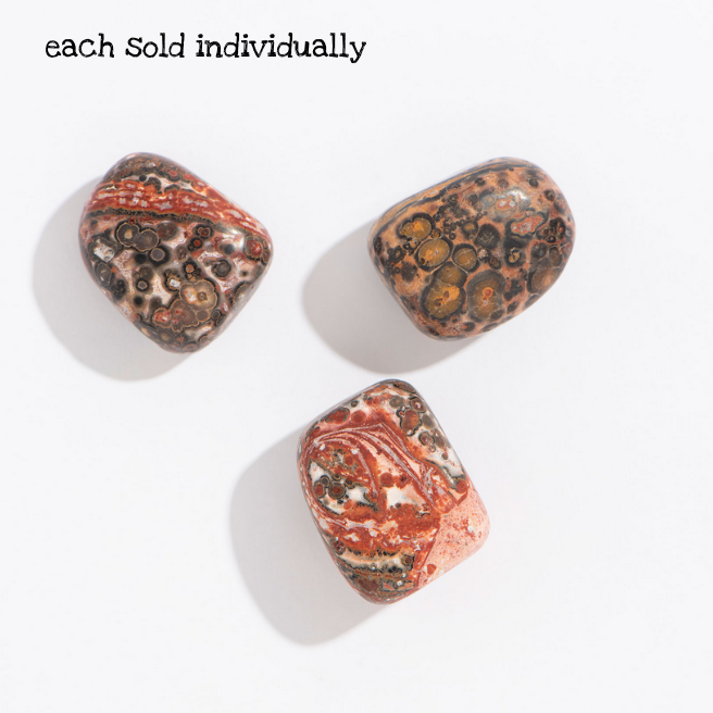 Rock | Tumbled Leopard Jasper