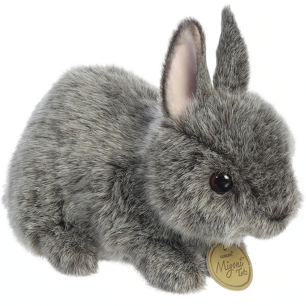 Bunny Netherland Dwarf Gray