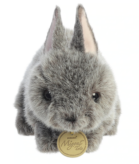 Bunny Netherland Dwarf Gray