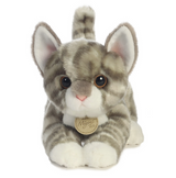 Cat Gray Tabby