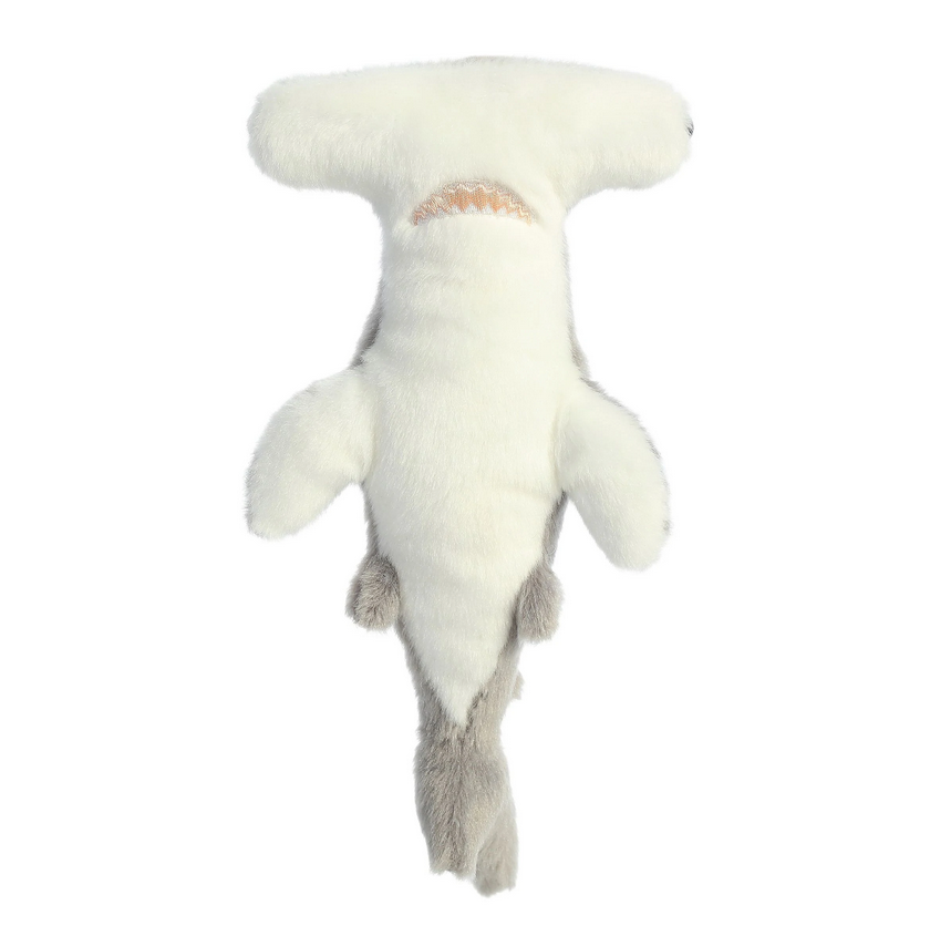 Hammerhead Shark Hamlet