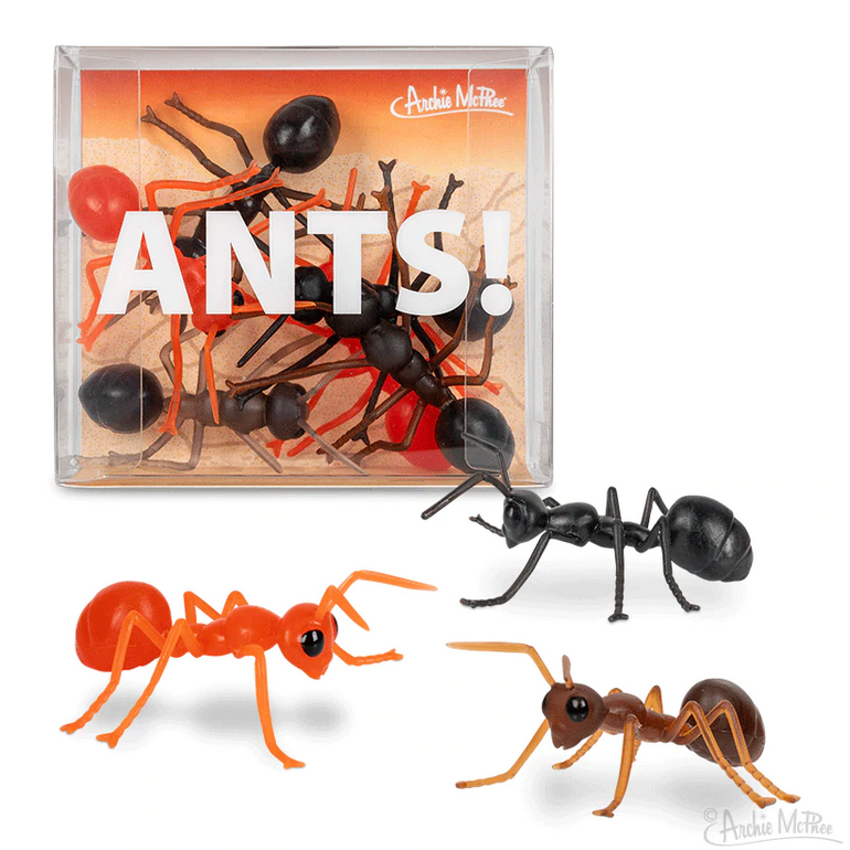 Ants!