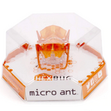 Hexbug Micro Ant