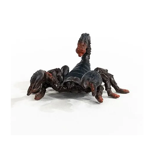 Emperor Scorpion