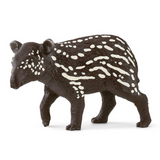 Tapir Baby